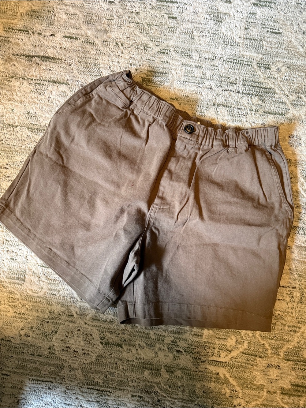 Cove Men's Flat Front Shorts - Brown